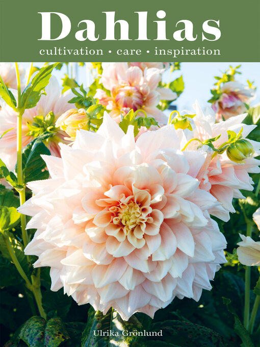 Title details for Dahlias by Ulrika Grönlund - Available
